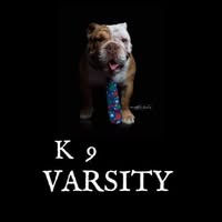 K9 Fun Adventures