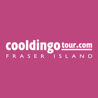 Cool Dingo Tour