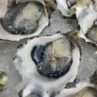 Camberwell Market Seafoods