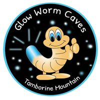 Tamborine Mountain Glow Worm Caves