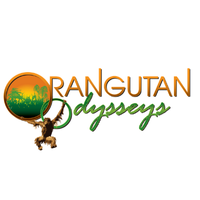 Orangutan Odysseys