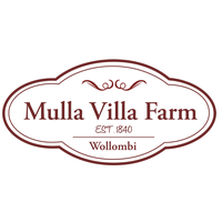 Guesthouse Mulla Villa