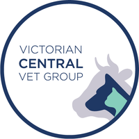 Seymour Central Veterinary Clinic