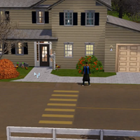 Appaloosa Plains