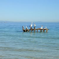 Bulwer, Moreton Island